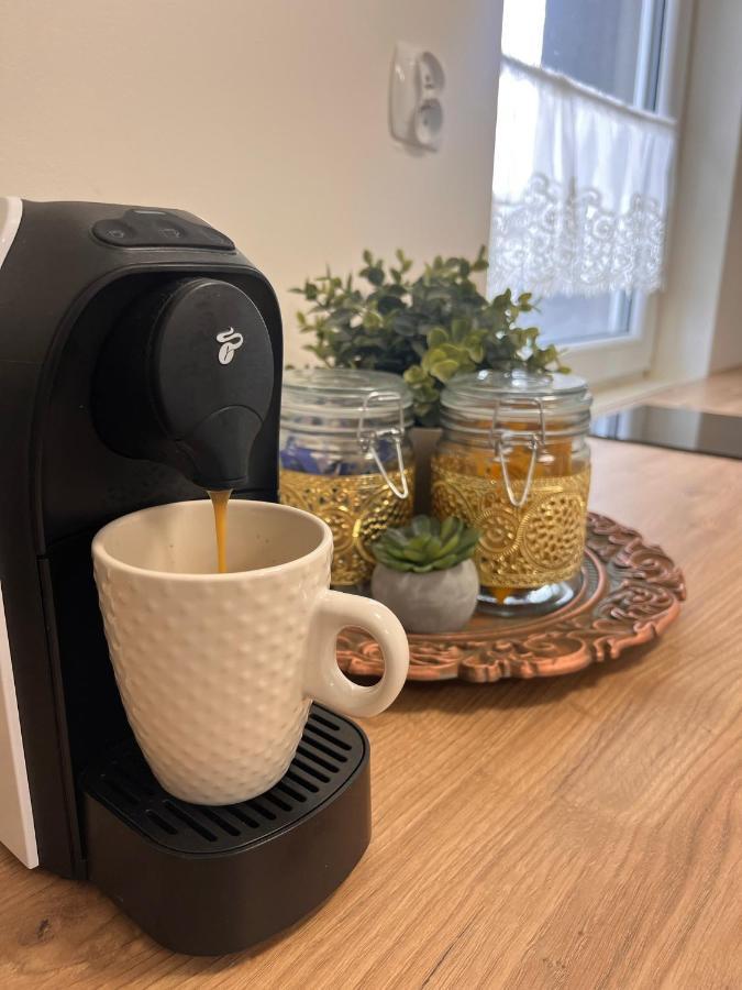 פז'יז'ינה Apartament Na Starowce Boho מראה חיצוני תמונה