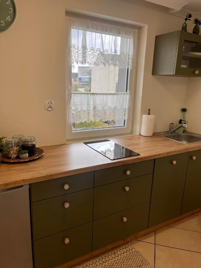פז'יז'ינה Apartament Na Starowce Boho מראה חיצוני תמונה